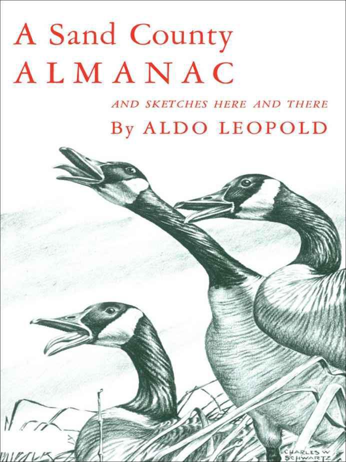 a-l-aldo-leopold-a-sand-county-almanac-1.jpg