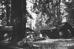 a-r-a-r-e-taylor-the-analogue-idyll-3.jpg