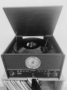 a-r-a-r-e-taylor-the-analogue-idyll-5.jpg