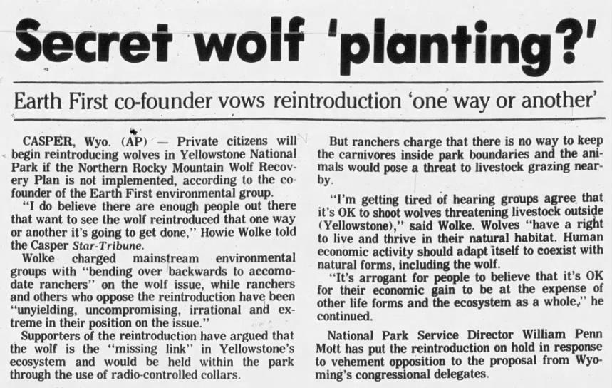 a-p-associated-press-secret-wolf-planting-1.jpg