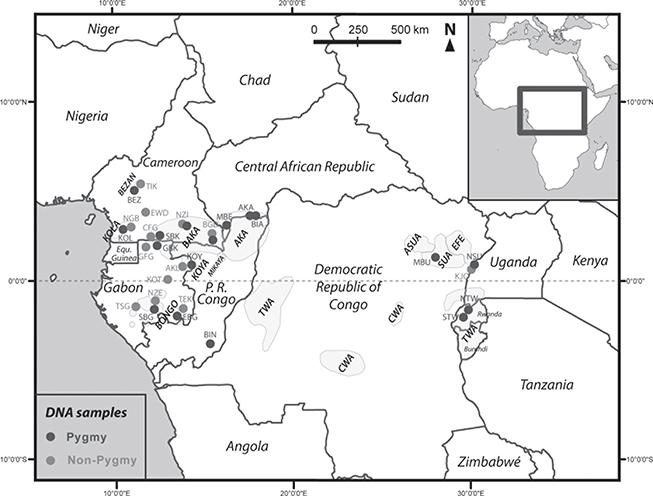 b-s-barry-s-hewlett-hunter-gatherers-of-the-congo-14.jpg