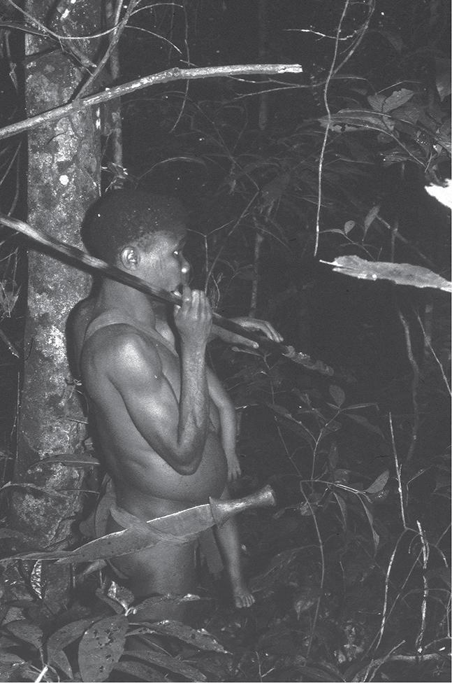 b-s-barry-s-hewlett-hunter-gatherers-of-the-congo-3.jpg