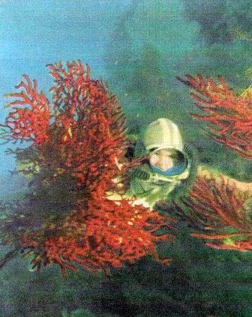 c-j-captain-j-y-cousteau-with-frederic-dumas-the-s-11.jpg