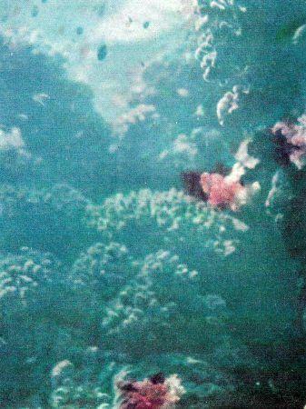 c-j-captain-j-y-cousteau-with-frederic-dumas-the-s-16.jpg
