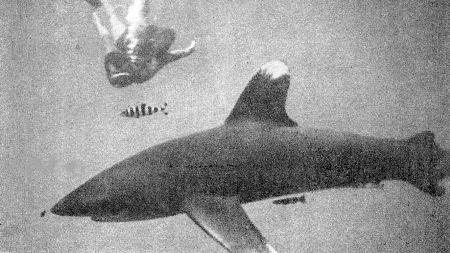 c-j-captain-j-y-cousteau-with-frederic-dumas-the-s-25.jpg
