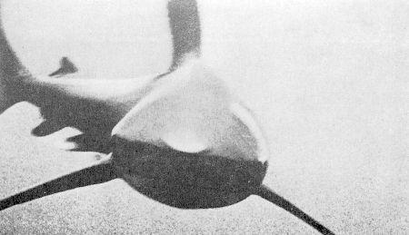 c-j-captain-j-y-cousteau-with-frederic-dumas-the-s-29.jpg