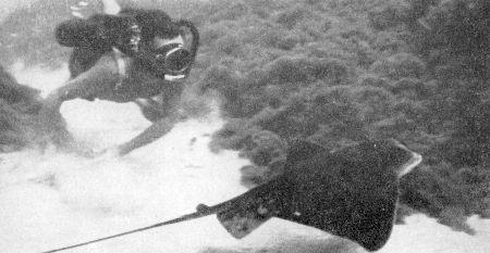 c-j-captain-j-y-cousteau-with-frederic-dumas-the-s-45.jpg