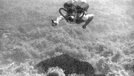 c-j-captain-j-y-cousteau-with-frederic-dumas-the-s-48.jpg
