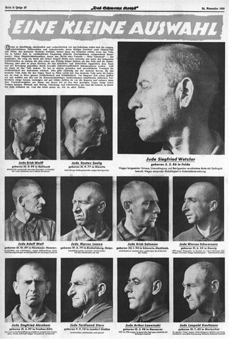 c-k-claudia-koonz-the-nazi-conscience-60.jpg