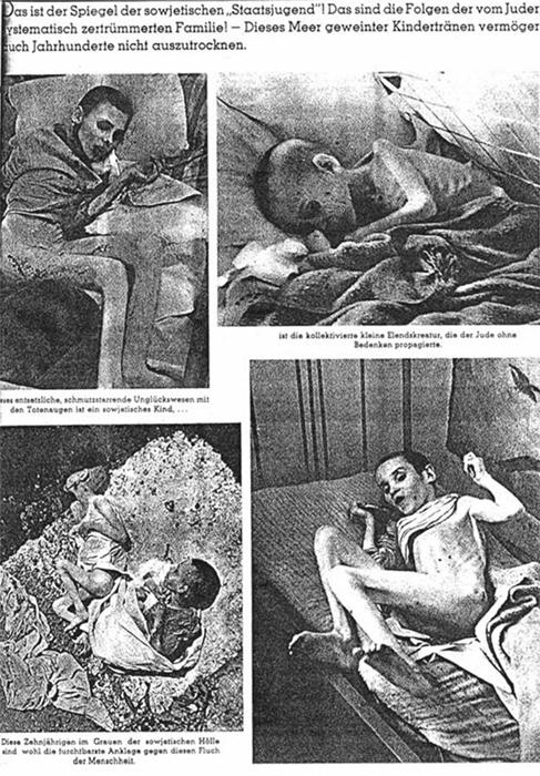 c-k-claudia-koonz-the-nazi-conscience-61.jpg