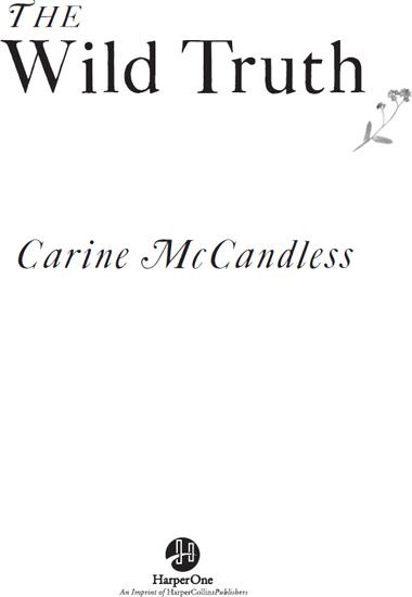 c-m-carine-mccandless-the-wild-truth-3.jpg