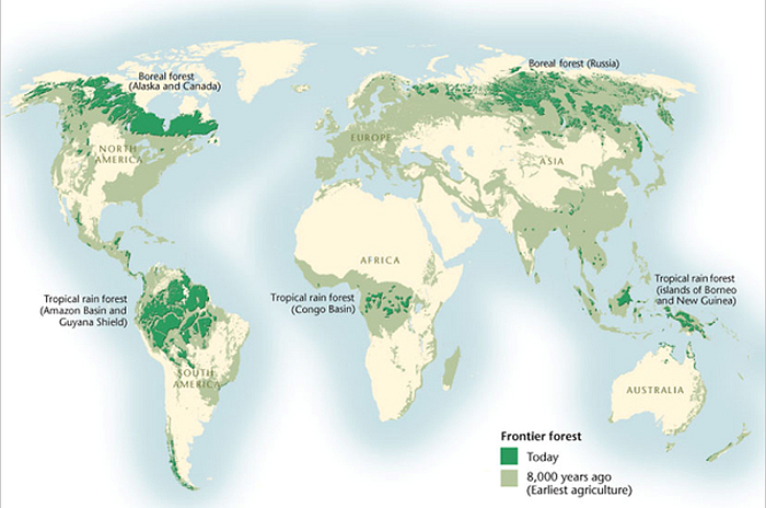 d-b-david-b-lauterwasser-the-collapse-of-global-ci-11.png