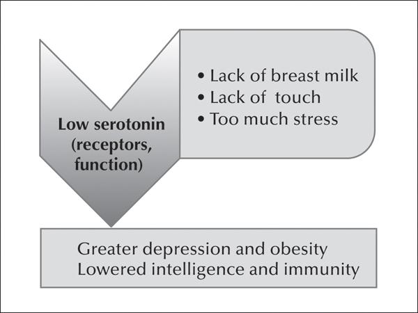 d-n-darcia-narvaez-neurobiology-and-the-developmen-15.jpg