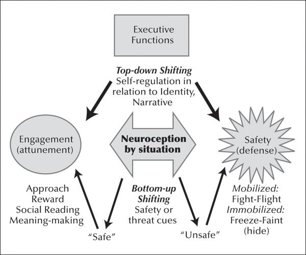 d-n-darcia-narvaez-neurobiology-and-the-developmen-19.jpg