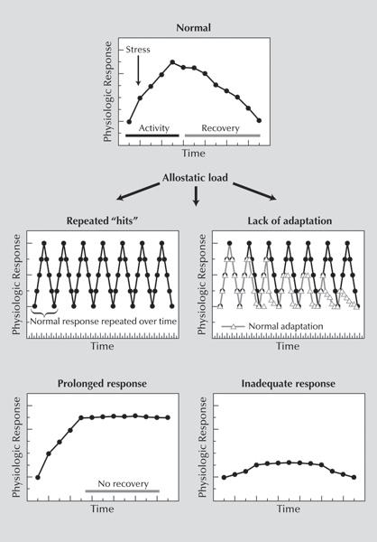 d-n-darcia-narvaez-neurobiology-and-the-developmen-21.jpg