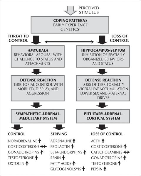 d-n-darcia-narvaez-neurobiology-and-the-developmen-23.jpg
