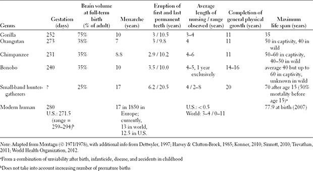 d-n-darcia-narvaez-neurobiology-and-the-developmen-6.jpg