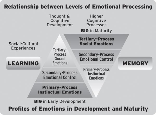 d-n-darcia-narvaez-neurobiology-and-the-developmen-7.jpg