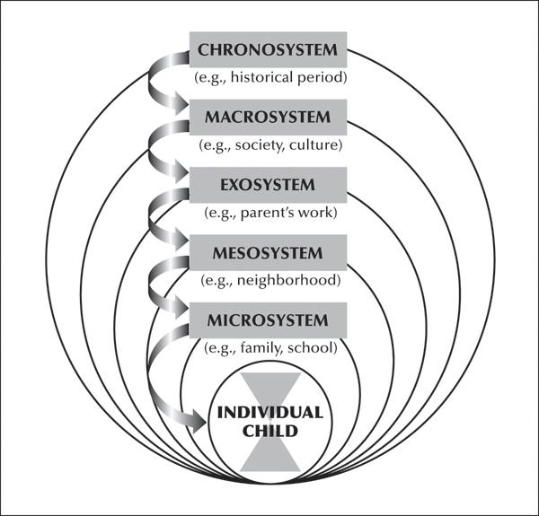 d-n-darcia-narvaez-neurobiology-and-the-developmen-8.jpg