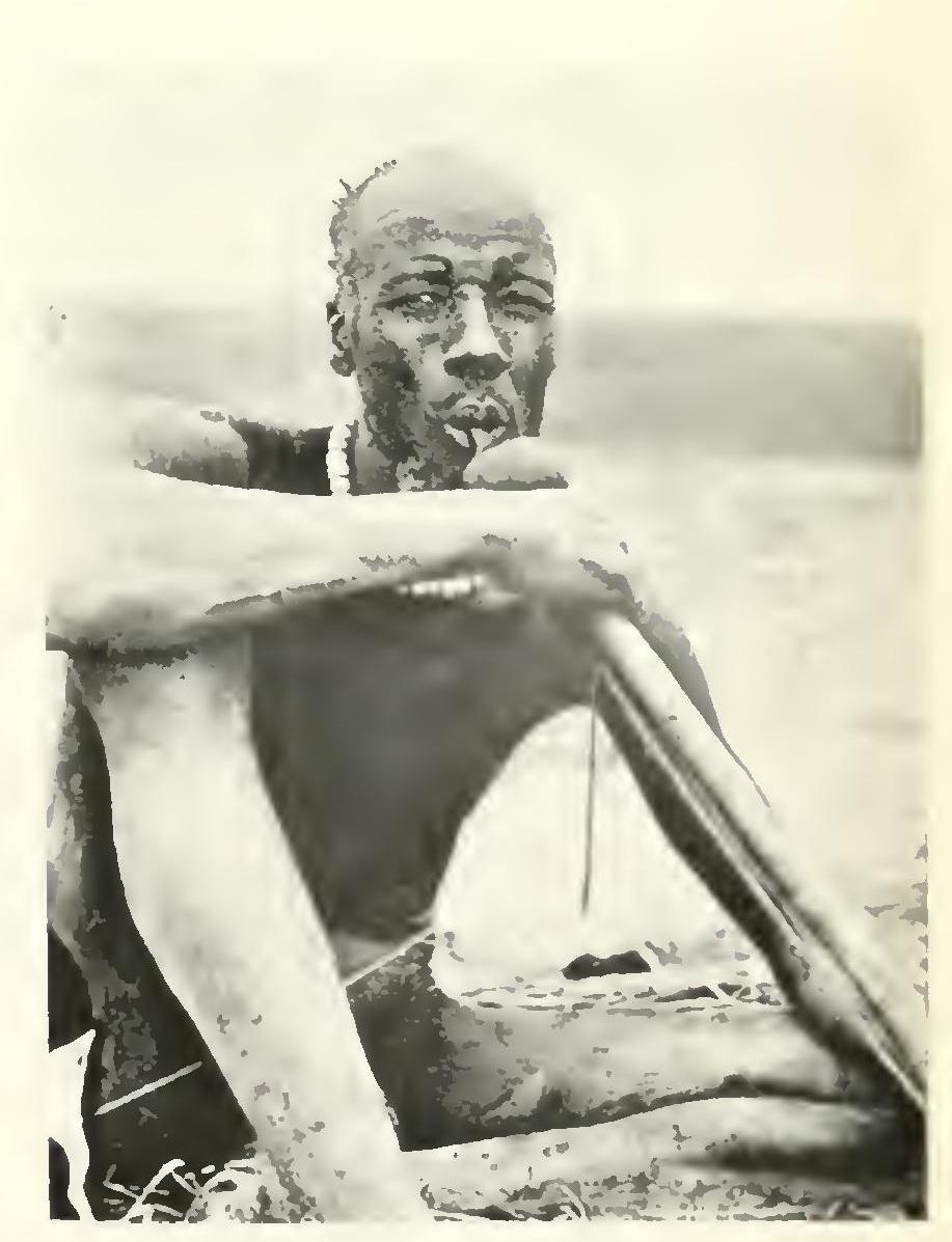 The Nuer The Ted K Archive