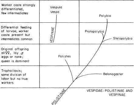 e-o-edward-o-wilson-sociobiology-10.jpg