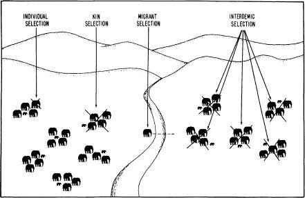 e-o-edward-o-wilson-sociobiology-106.jpg