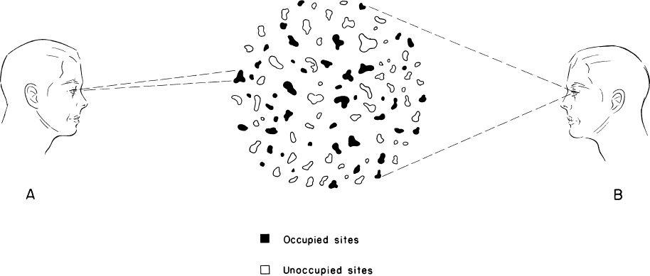 e-o-edward-o-wilson-sociobiology-110.jpg