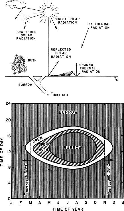 e-o-edward-o-wilson-sociobiology-13.jpg