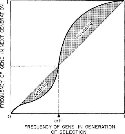 e-o-edward-o-wilson-sociobiology-130.jpg