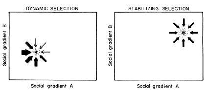e-o-edward-o-wilson-sociobiology-135.jpg