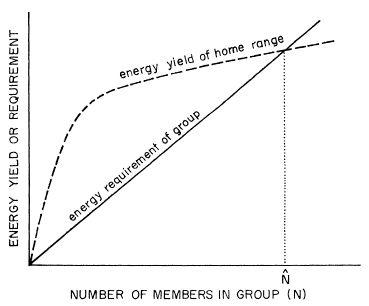 e-o-edward-o-wilson-sociobiology-139.jpg