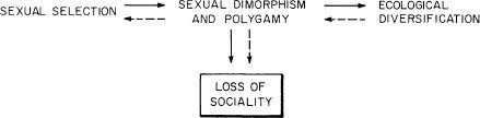 e-o-edward-o-wilson-sociobiology-14.jpg