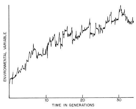 e-o-edward-o-wilson-sociobiology-143.jpg