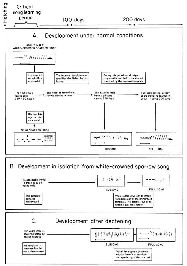 e-o-edward-o-wilson-sociobiology-153.jpg