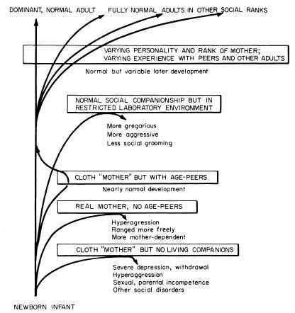 e-o-edward-o-wilson-sociobiology-156.jpg