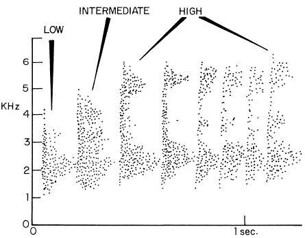 e-o-edward-o-wilson-sociobiology-164.jpg