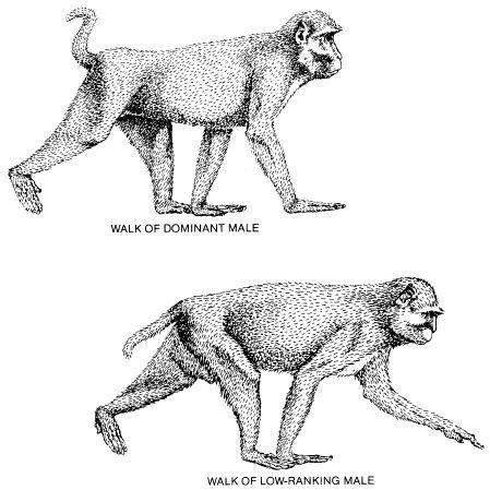 e-o-edward-o-wilson-sociobiology-173.jpg