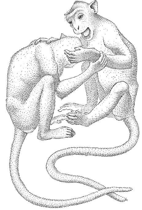 e-o-edward-o-wilson-sociobiology-175.jpg
