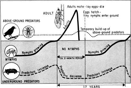 e-o-edward-o-wilson-sociobiology-18.jpg