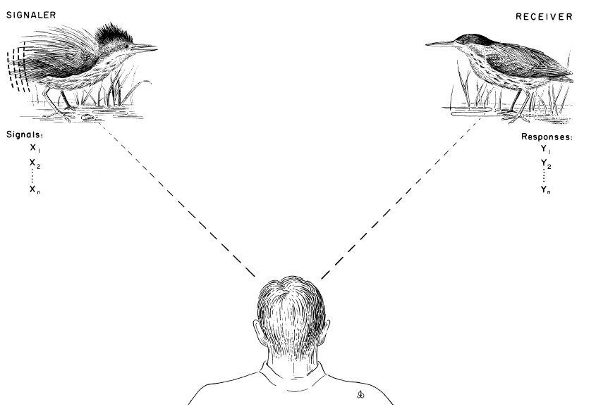 e-o-edward-o-wilson-sociobiology-183.jpg