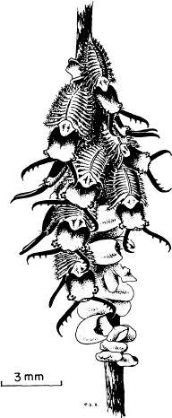 e-o-edward-o-wilson-sociobiology-19.jpg
