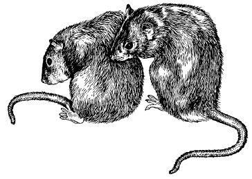 e-o-edward-o-wilson-sociobiology-191.jpg