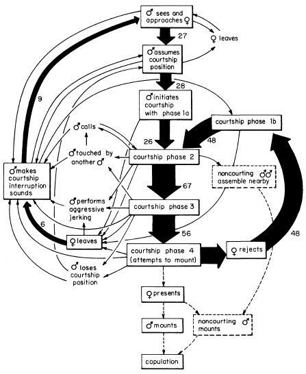 e-o-edward-o-wilson-sociobiology-194.jpg