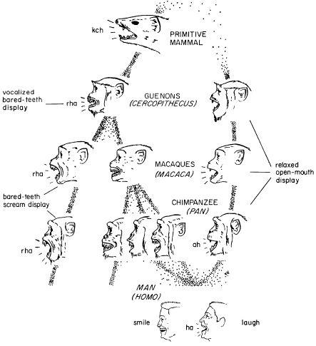 e-o-edward-o-wilson-sociobiology-199.jpg