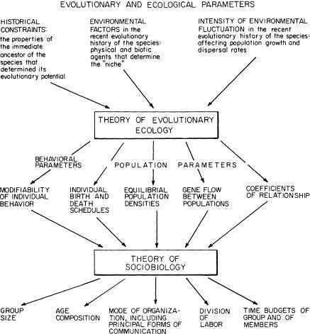 e-o-edward-o-wilson-sociobiology-2.jpg