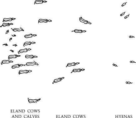 e-o-edward-o-wilson-sociobiology-20.jpg