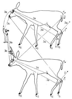 e-o-edward-o-wilson-sociobiology-204.jpg