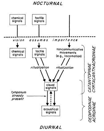 e-o-edward-o-wilson-sociobiology-209.jpg