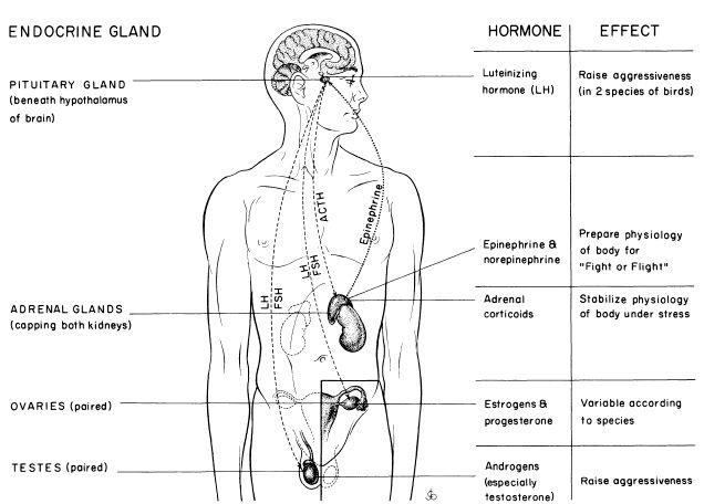 e-o-edward-o-wilson-sociobiology-216.jpg