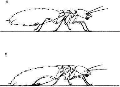 e-o-edward-o-wilson-sociobiology-22.jpg